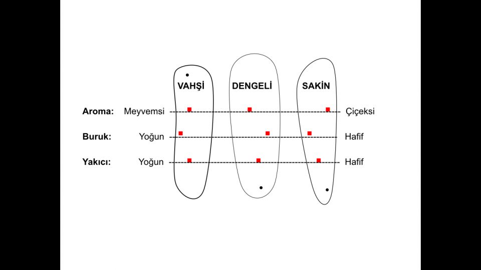 zeytinyağınızın kalitesini değerlendirin.