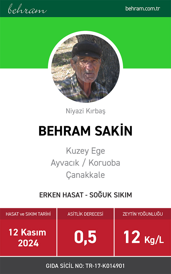 Behram Sakin 2024